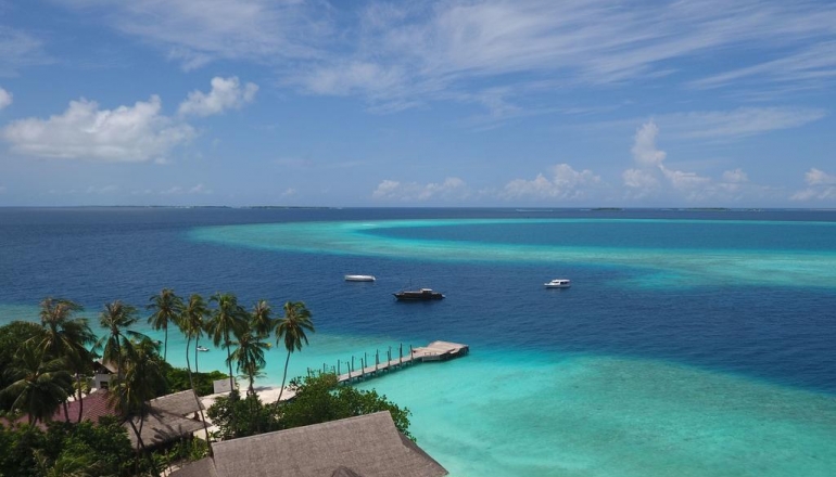 Malahini Kuda Bandos 4 Malahini Kuda Bandos 4