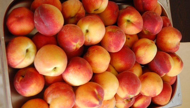 МІЖНАРОДНИЙ ДИТЯЧИЙ ТАБІР TEEN PALACE, ЛІТО 2026 МІЖНАРОДНИЙ ДИТЯЧИЙ ТАБІР TEEN PALACE, ЛІТО 2026