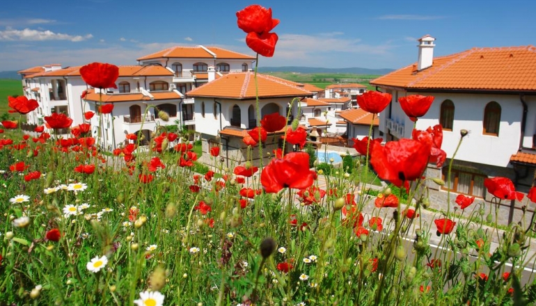 Vineyards SPA Hotel 4* Vineyards SPA Hotel 4*