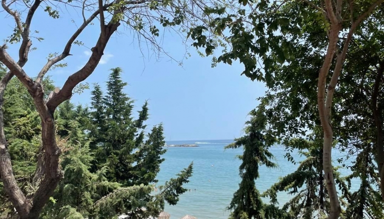 Молодіжний центр Містраль, Літо 2024 Молодіжний центр Містраль, Літо 2024