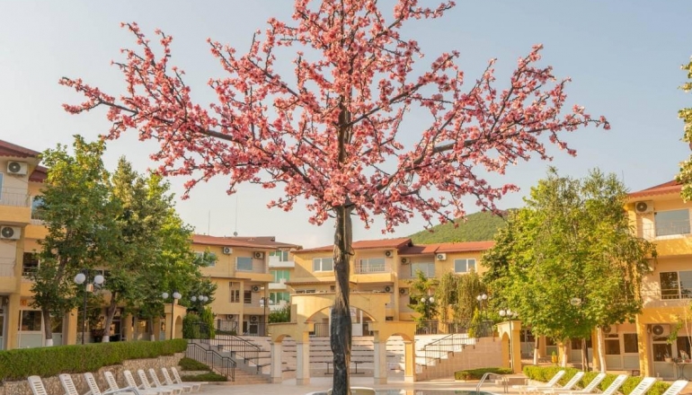 Молодіжний центр Містраль, Літо 2024 Молодіжний центр Містраль, Літо 2024