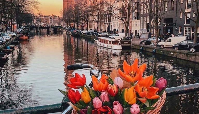 Очарование Трех Столиц Очарование Трех Столиц