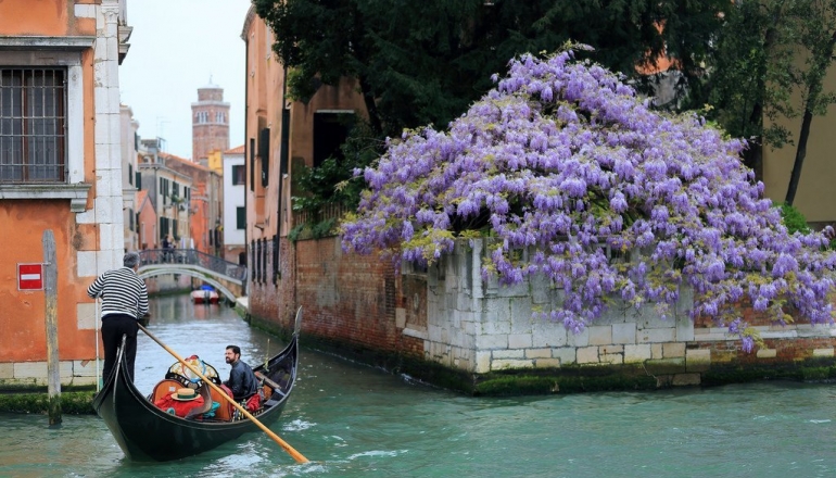 Бархатное море Венецианской Ривьеры Бархатное море Венецианской Ривьеры