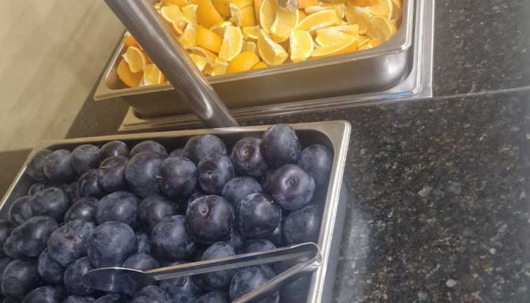 Дитячий табір КАРIБО, ЛІТО 2026