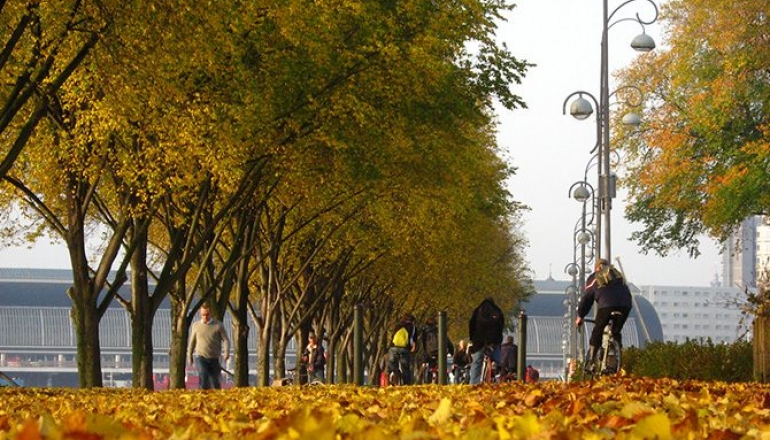 Очарование Трех Столиц Очарование Трех Столиц