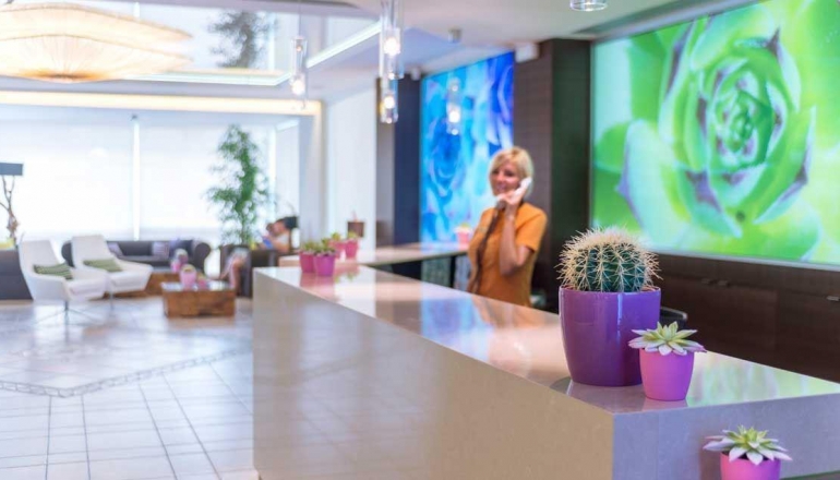 Kaktus Playa Kaktus Playa