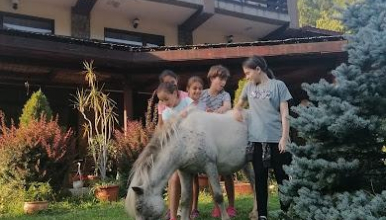 Програма Румуния Валахія (Valahia) 4*.  Виїзд щоп'ятниці  03.03, 10.03, 17.03, 24.03, 31.03 Програма Румуния Валахія (Valahia) 4*.  Виїзд щоп'ятниці  03.03, 10.03, 17.03, 24.03, 31.03