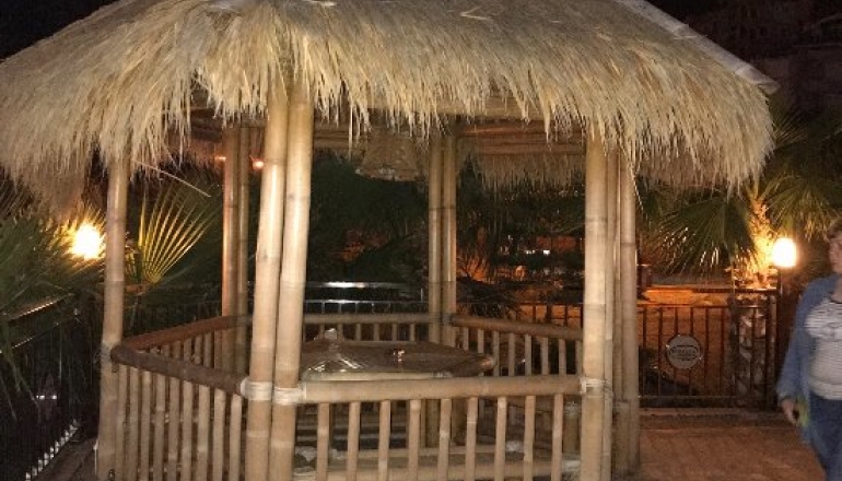 Dizalya Palm Garden Hotel Dizalya Palm Garden Hotel