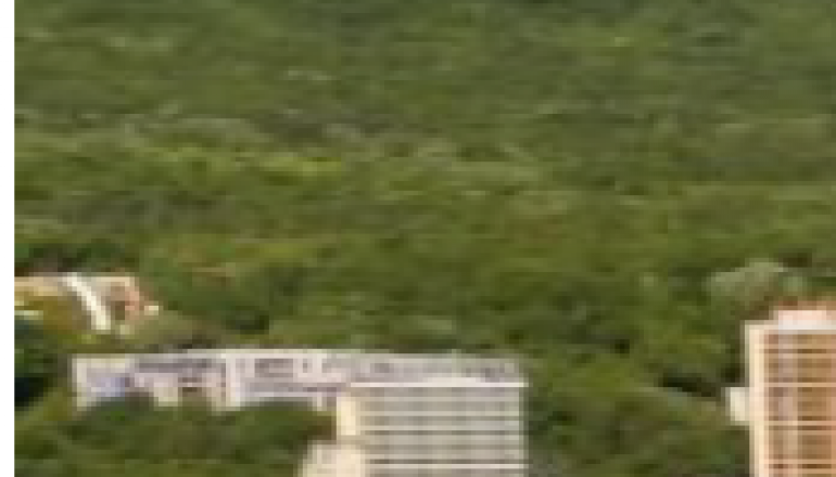 Молодіжний центр ГЛАДІОЛА, ЛІТО 2026  