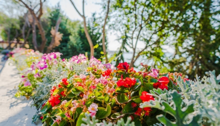 Молодіжний центр "Містрал 1/2" Літо 2024 Молодіжний центр "Містрал 1/2" Літо 2024