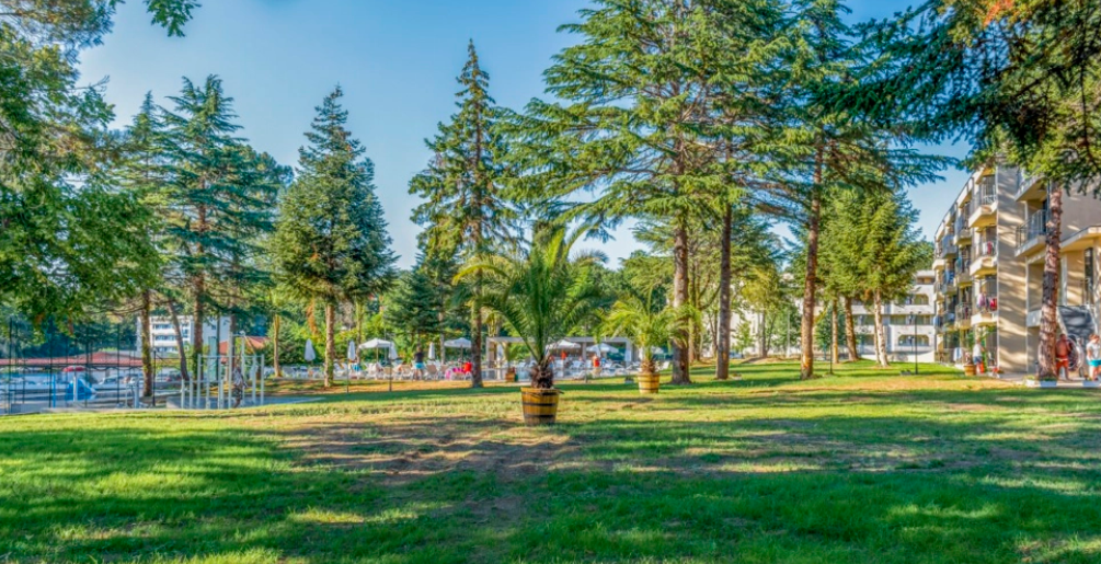Queen Nelly Park Hotel